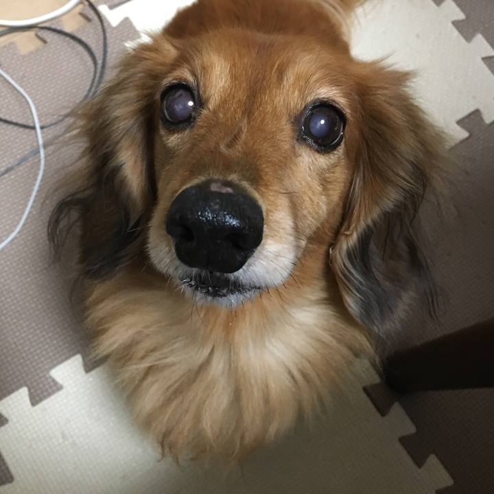 F94c27df 8f4e 4629 a78b 1a85732d9726 1547131309164