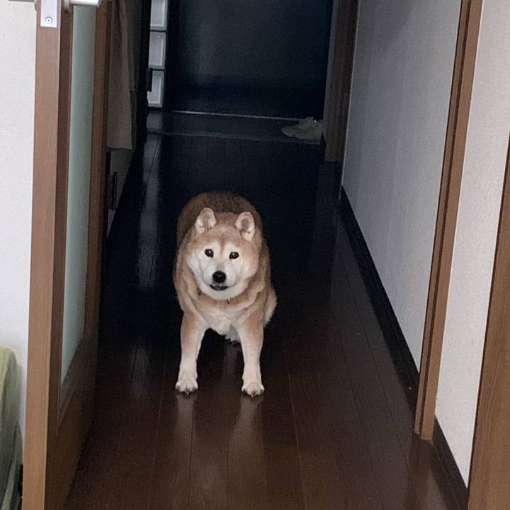 F94c48f5 960d 4956 a37b 0b1496d9d053 1666738082769