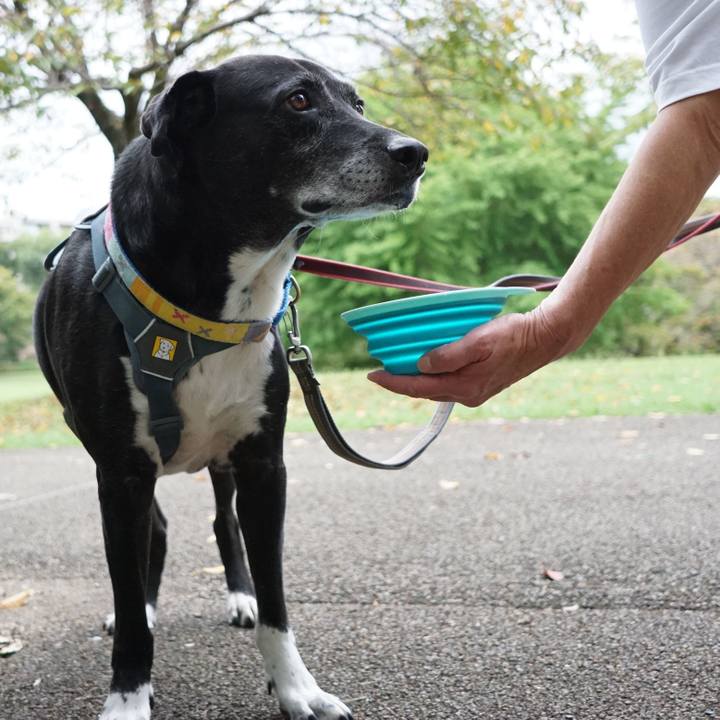 F94c8012 e22e 4b60 9ced abde2d64442e 1759969644436