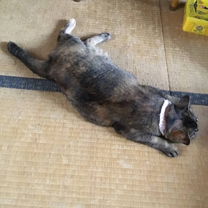 F94c89ca bfdd 4748 a799 c6d5be479a5d 1755515733182