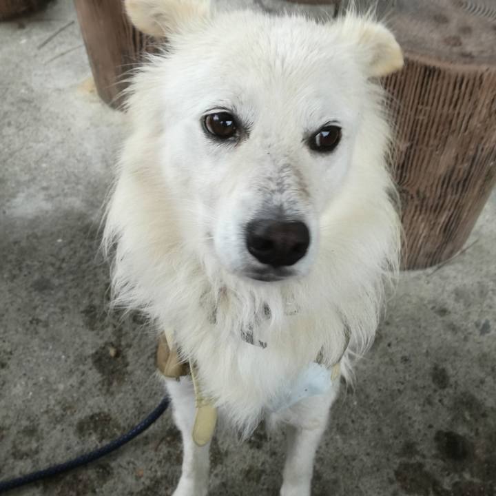 F94c8b93 b79b 4154 b19c 48561ef30b17 1508201503879