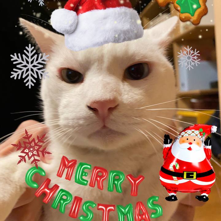 F94c9ad1 9475 42ae 96ff 295344a9c3c2 1640432324935