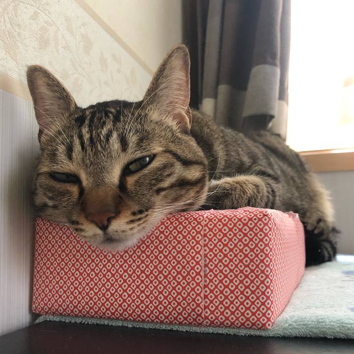 F94cec4e 809d 4f02 b34c 09893cd6eb20 1563445994667