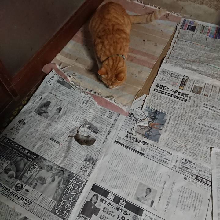 F94d224c 861c 4d72 9e1e 6c07f4f20b5c 1585689828961