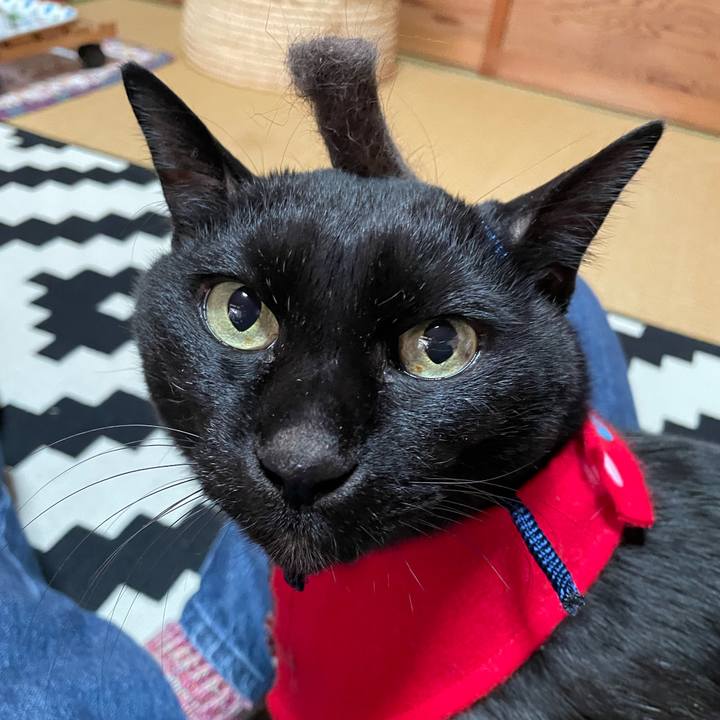 F94d3b1b e27e 4a1f 937d 83949f3d0062 1769039295888