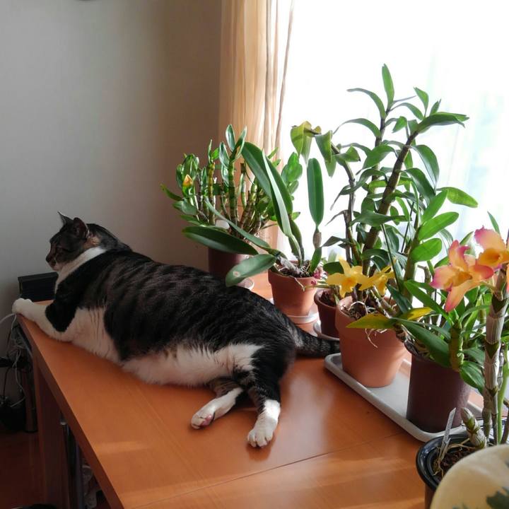 F94d5cba 310f 4530 b0e1 d582530e583b 1517954260190