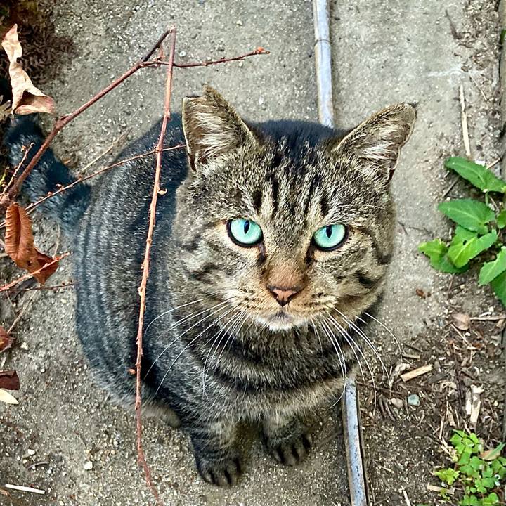 F94d9d51 ba70 46ea b744 fafc201a19ef 1638603763468