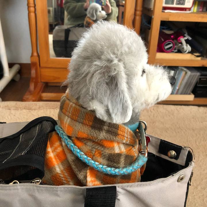 F94da28a c72c 4ffc 8c8f d0620b056b56 1699835296686