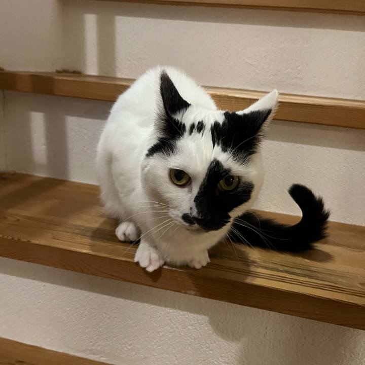 F94da7eb 55ec 4f7a be21 04c8e5e017c7 1764910592848