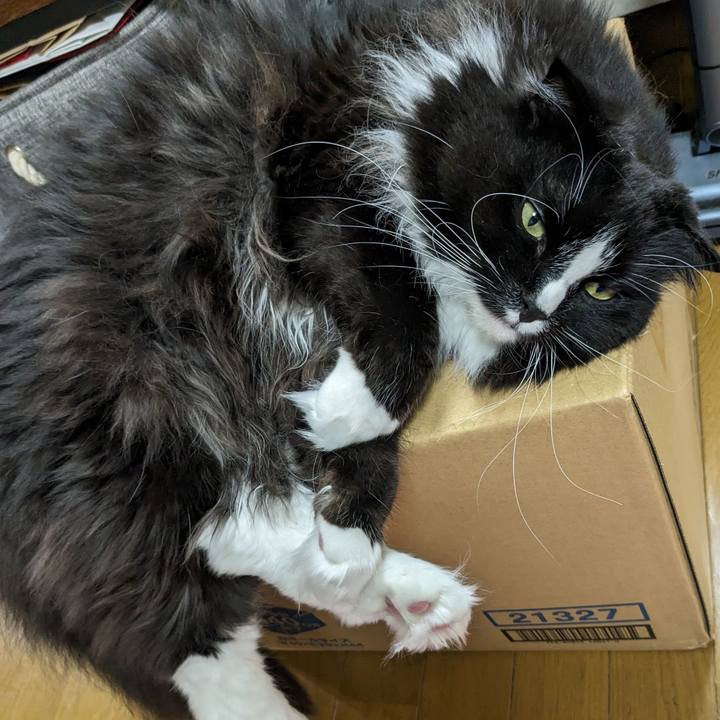 F94daafd e0cc 4a44 8164 9e577c4b46b6 1714300003592