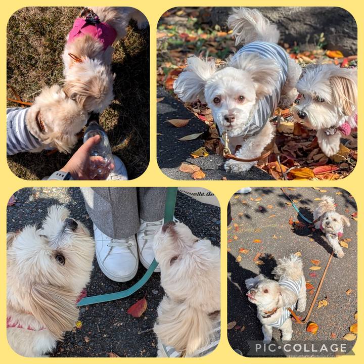 F94db133 3e3b 4356 915b bdd41cbca76a 1763296030735