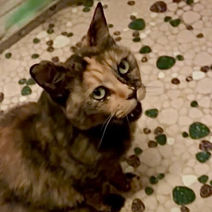 F94dc2ea 3079 413a aa08 9bbc36f4b52d 1752092753617