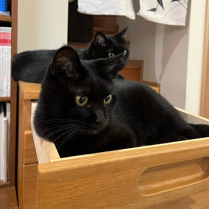 F94dda50 788c 4201 aa46 ba5a32f6c79c 1691206069749