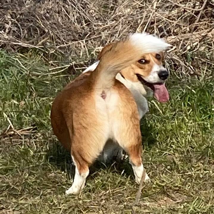 F94de28d 5b86 4fde 8ca9 cdd59aad5a97 1673922796442