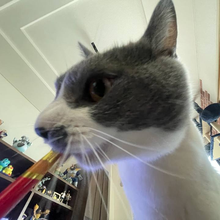 F94df833 1f55 4366 8395 5701511aec99 1627108928305