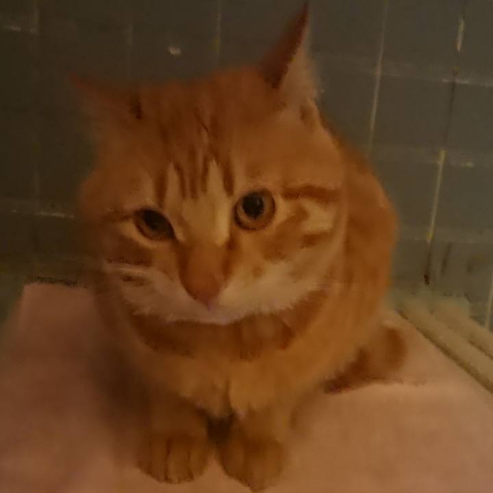 F94e6340 12d1 480c 8252 c30a3a797e45 1648286900206