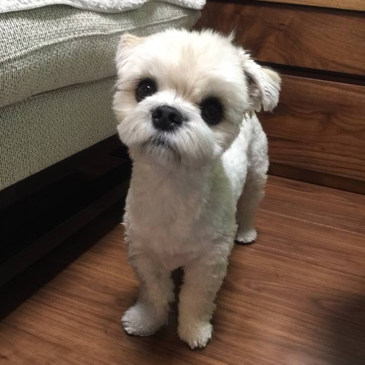 F94ebf34 8001 4a12 9eb9 5dcaaac58d45 1509370712494