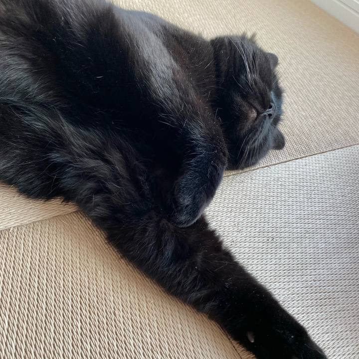 F94ec13f 4c42 4ac5 ab44 b5b9ba459929 1654239454911