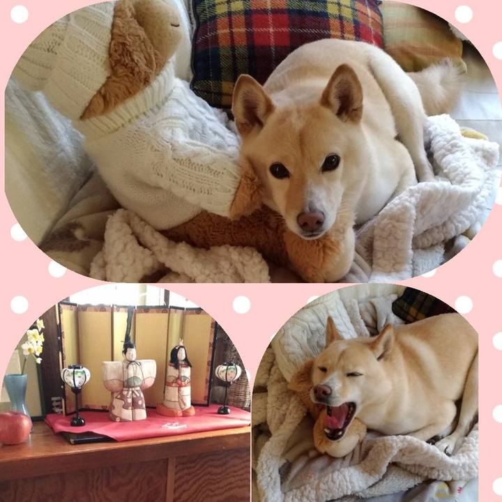 F94f2907 4845 4f2c 8dd6 4ca43368e2ef 1612423427778