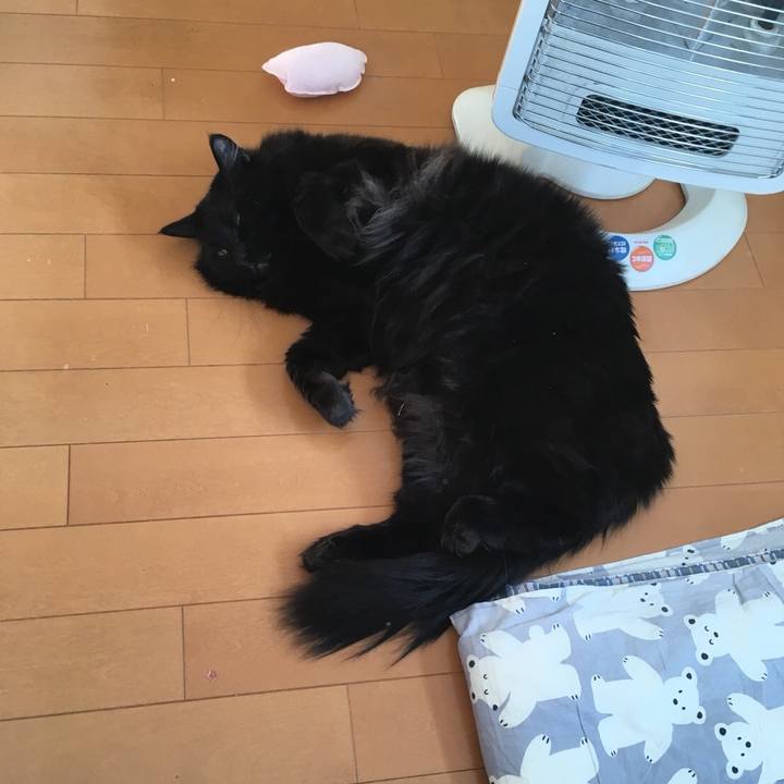 F94f64d7 c7b8 4b51 8d12 e175af24b44f 1519694355344