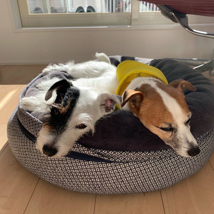 F94f6b31 a387 405f b3b5 16f5e365d9cf 1638071261766