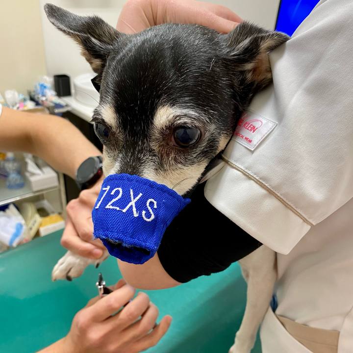 F94f72d3 1b43 4a3b a8bf 7d2675b8d4d4 1613790675821