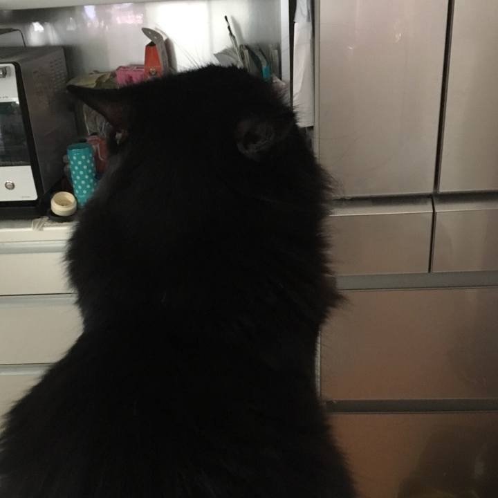 F94f9d71 071d 4cab a7c0 7958c0bbe464 1514075849883