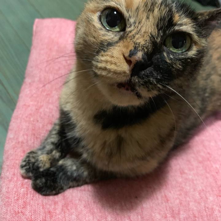 F94fa98a 1761 4b03 a4f4 6b1f2ecc7922 1572710454669