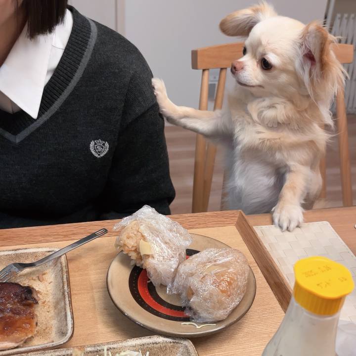 F94fbf18 ae2a 445f a122 4cab3e3c5003 1744641110000