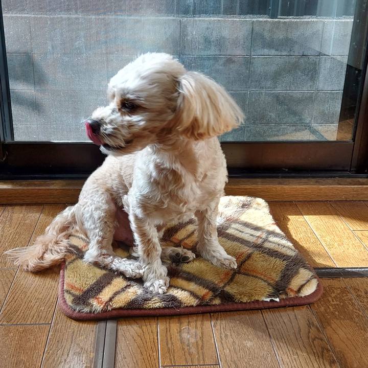 F94fc2b8 eacb 46a8 b2d3 89b789ac30b0 1640668601810