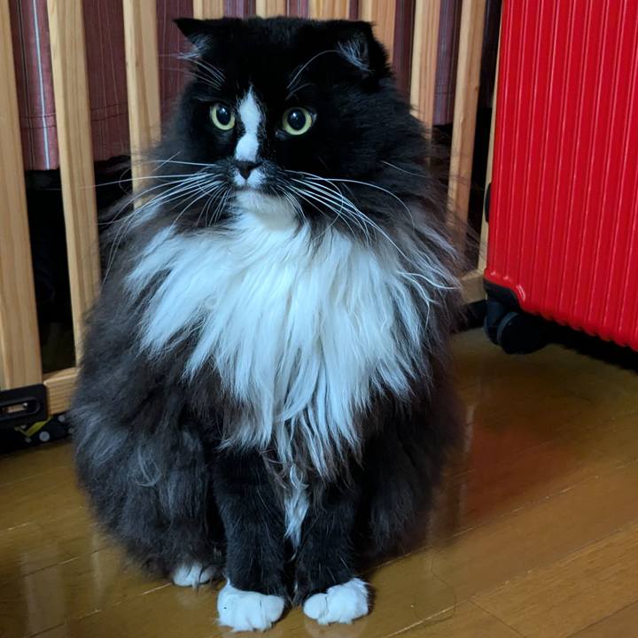 F94fd0f1 cf51 40ff 818b 2003eacfa14a 1726175379720