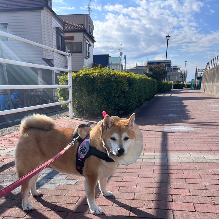 F94fefb7 14c2 4629 89bd c182204b372f 1704603620036