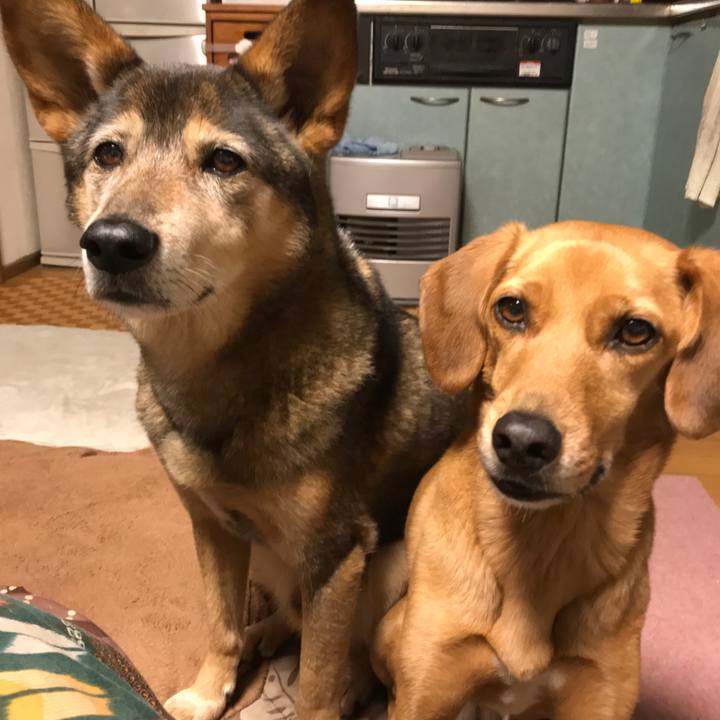 F94ff180 e568 4ac1 ba10 6f4c029bfa80 1554067680986