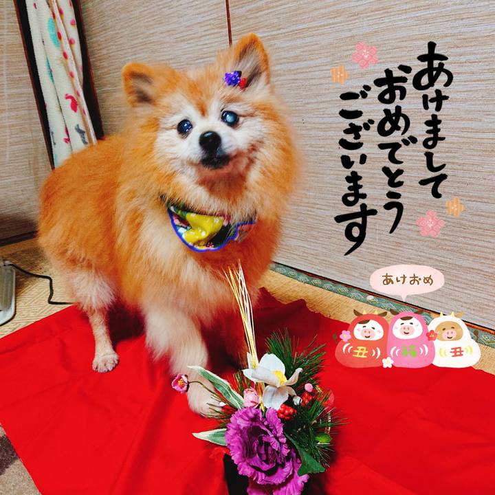 F9503f72 404b 483c 96e6 a4a5629567a9 1609453534455