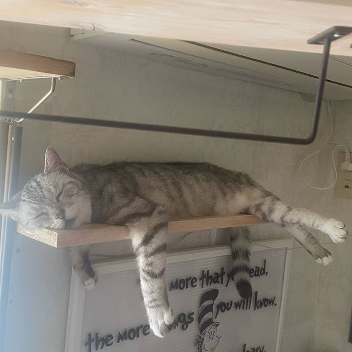 F95048a4 5eff 480c a50a 7a556d3baabd 1753588473276