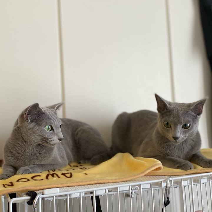 F950852a 0692 4e22 b2bd 849e4008db7a 1628039091232