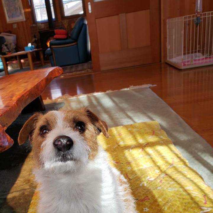 F95097e9 ab0b 4509 8ee5 00f01ceb24ed 1584686501208