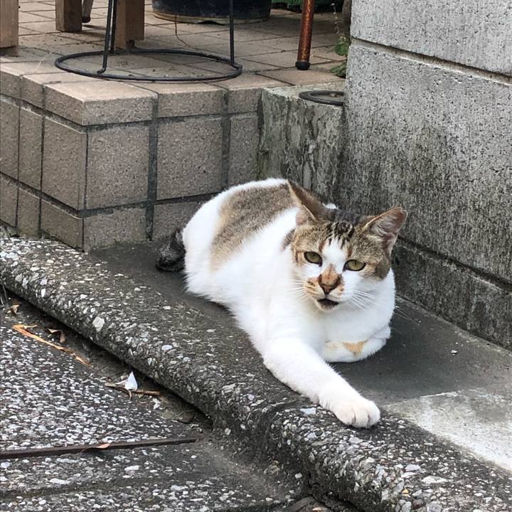 F950a84c 7fcd 4bdc 8e8a ac1e74bb3952 1564849834214