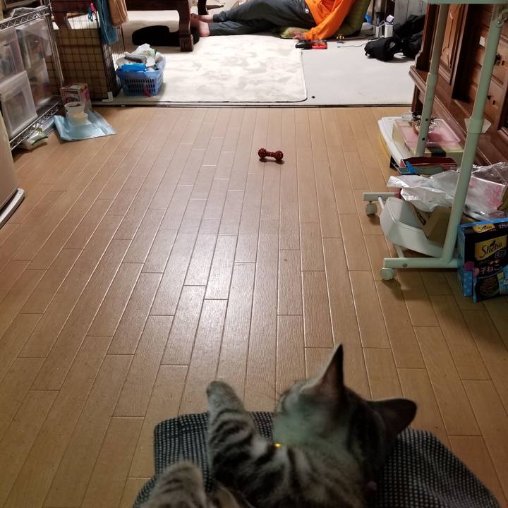 F950e013 d14c 4b25 9649 01cf560a779c 1664879024638