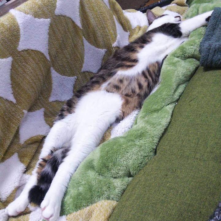 F9510cf7 6afc 4357 bf98 fa4ec78f719f 1647258375966