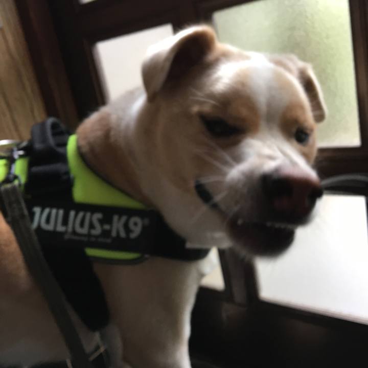 F95113d6 fb2d 4f68 a288 b70a0327481f 1536966333674