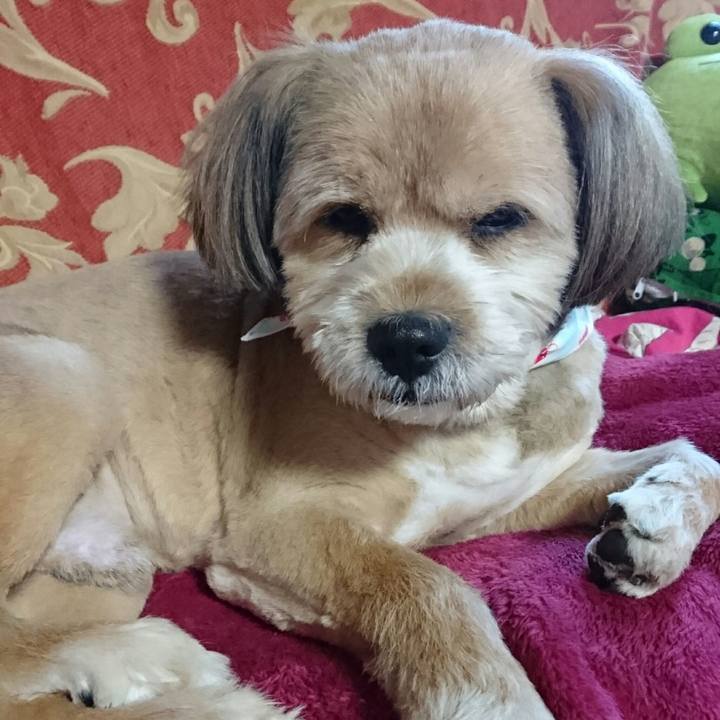 F95126df f31f 4c68 b007 d8d04fa60aa6 1512687173006