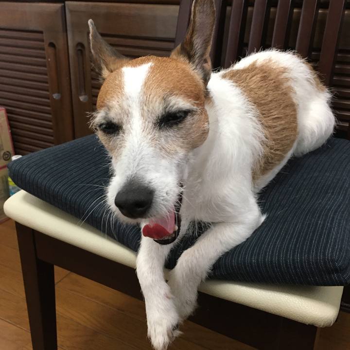 F9513178 325e 4195 82bf 9d9071fe2fdc 1623368271976