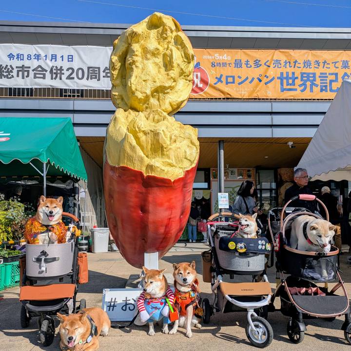 F9517aa3 f632 4818 88e1 87cdb559826a 1761878855377