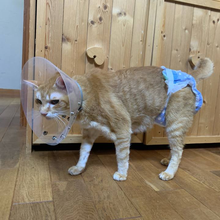 F951da5a d070 4cb7 95f6 4fe17e5b99ae 1631804515395