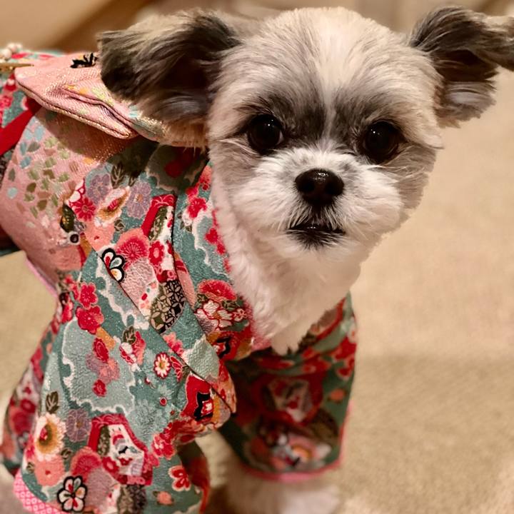 F952073a 6510 4f6c 81c1 d982d59c696f 1641127495227