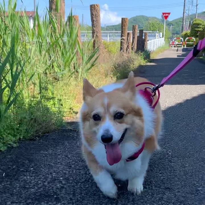 F9521401 3234 4bb8 9242 76f8123c5fff 1684206138542