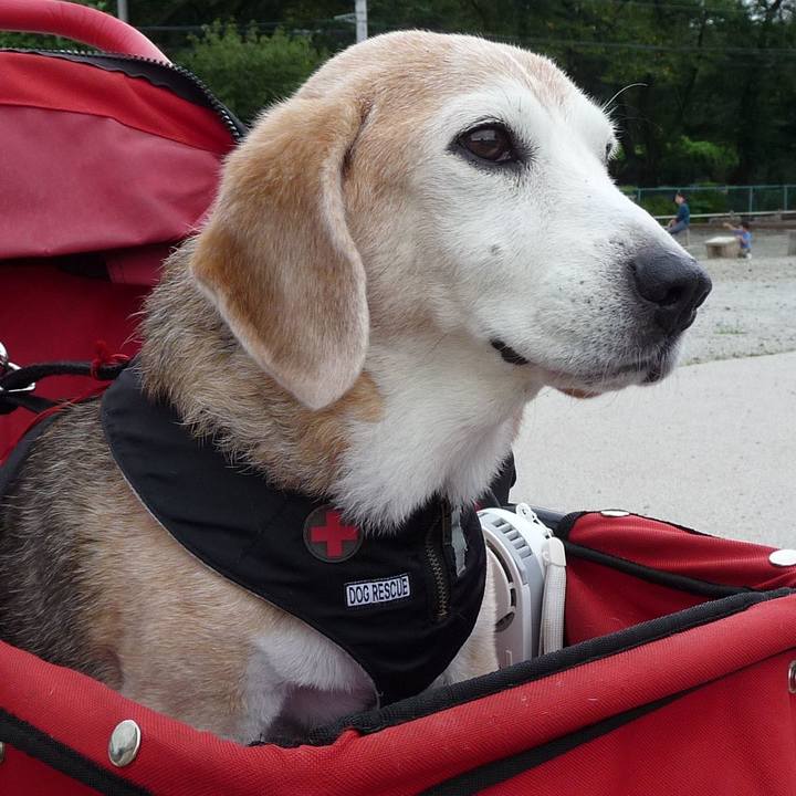 F9522d7d b3bf 4fee a8c1 d8eeea36b262 1697935748888