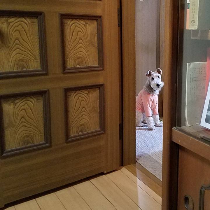 F9524594 6b98 453b 8cf3 71bf204c67d0 1545137665912