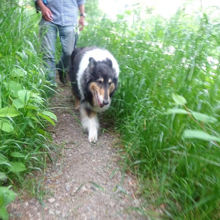 F952504c f158 4114 bf66 788234d1be83 1589631237853